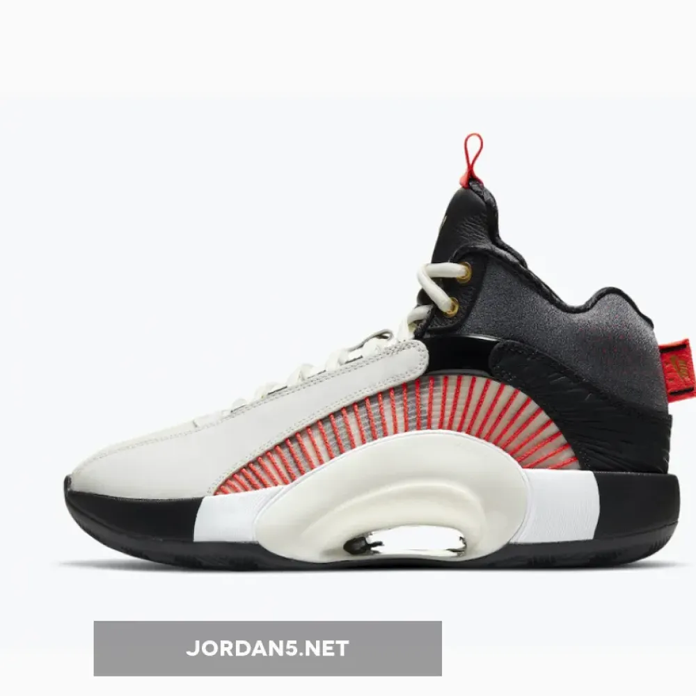 Titan x Air Jordan 35 Grey Charcoal Black Gold  DD4701-001