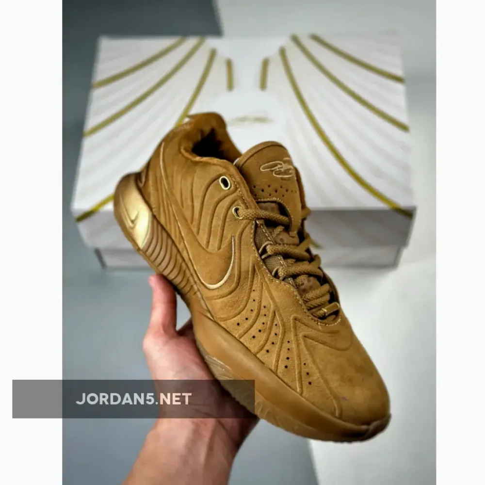 Nike LeBron 21 Brown Gold PE