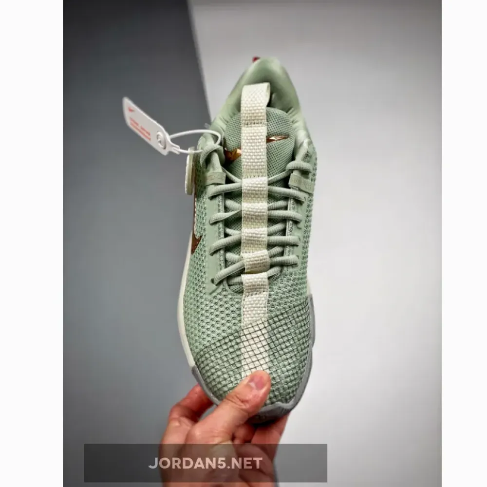 Nike LeBron Ambassador 13 “Empire Jade”  CQ9329-300