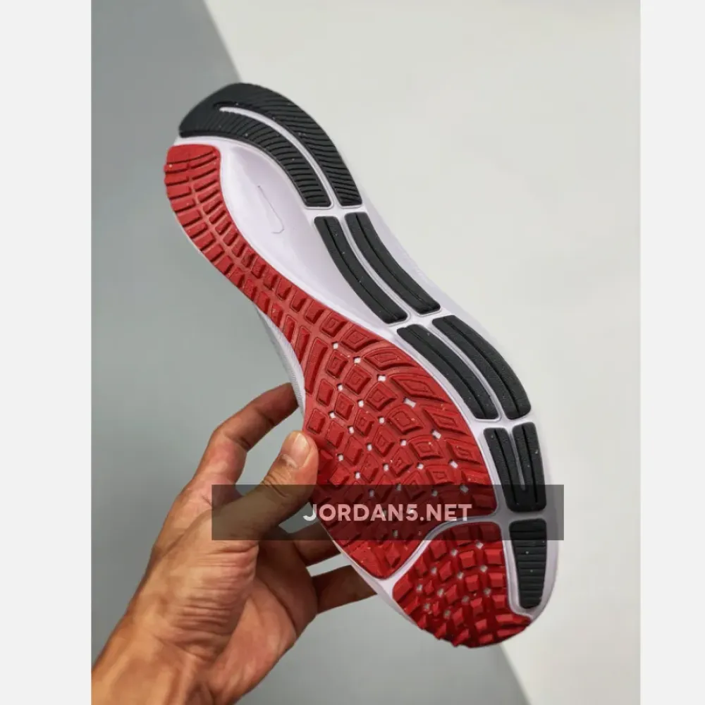 Nike Air Zoom Pegasus 38 Pure Platinum/Wolf Grey/Iron Grey/Chile Red CW7356-004