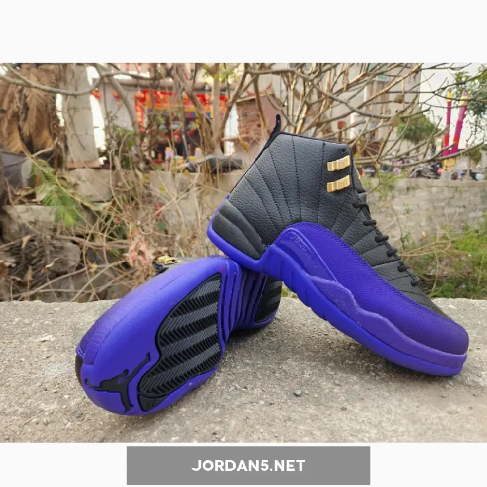Air Jordan 12 Black/Taxi/Field Purple  CT8013-057