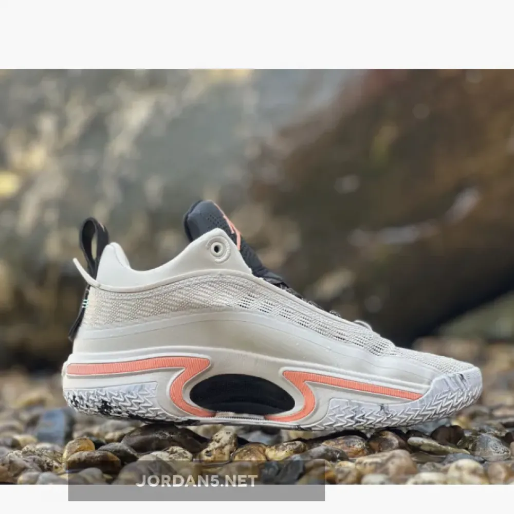 Air Jordan 36 Low Light Orewood Brown  DH0833-160