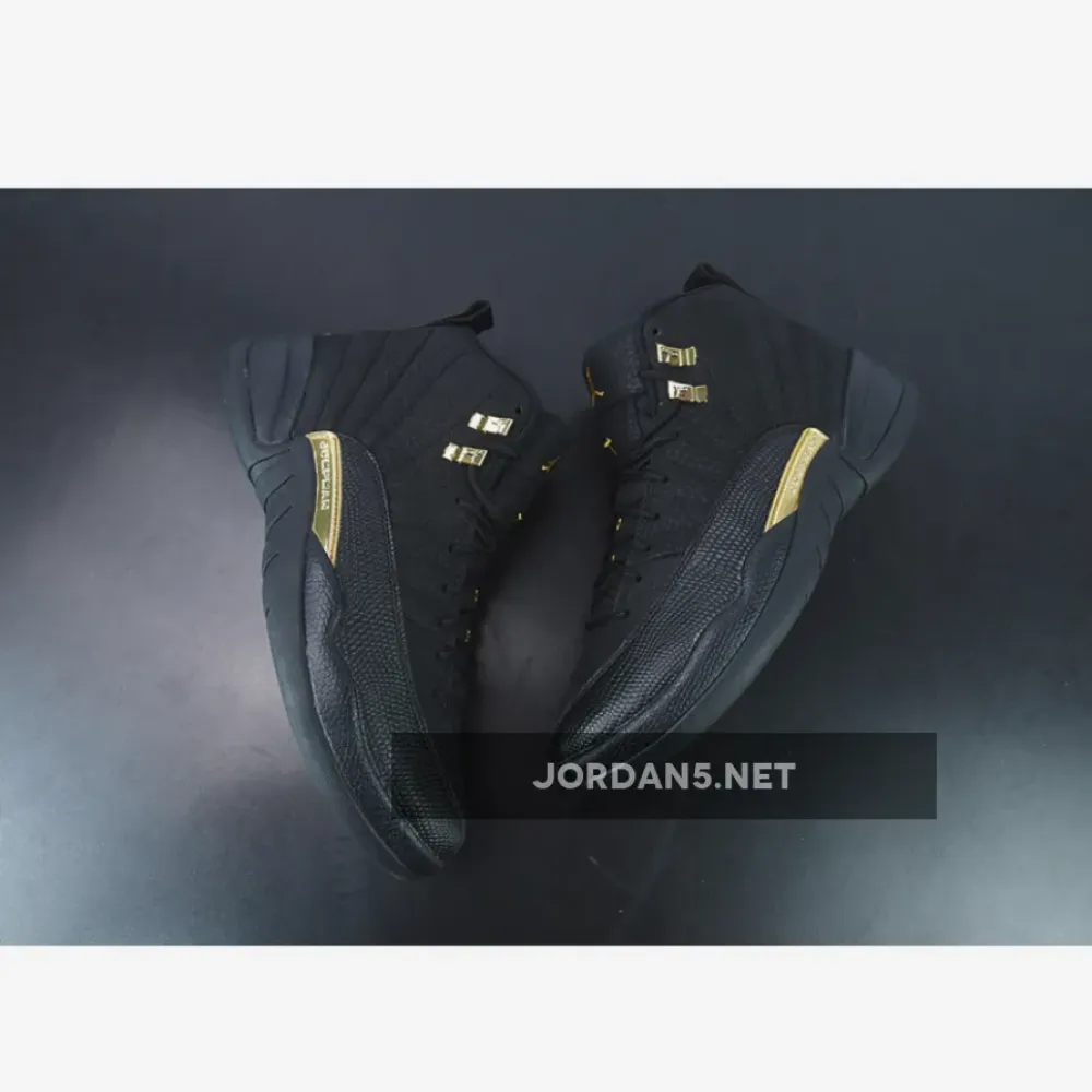 Air Jordan 12 Black Taxi  CT8013-071