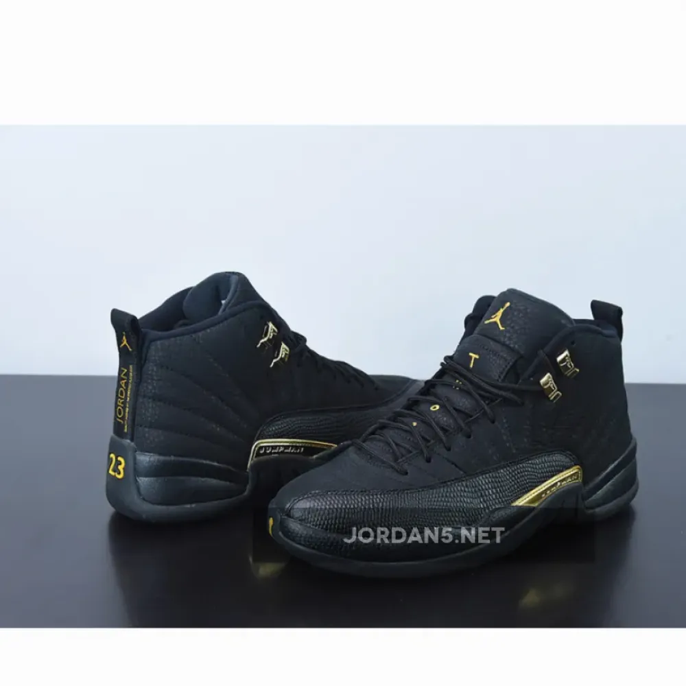 Air Jordan 12 Black Taxi  CT8013-071