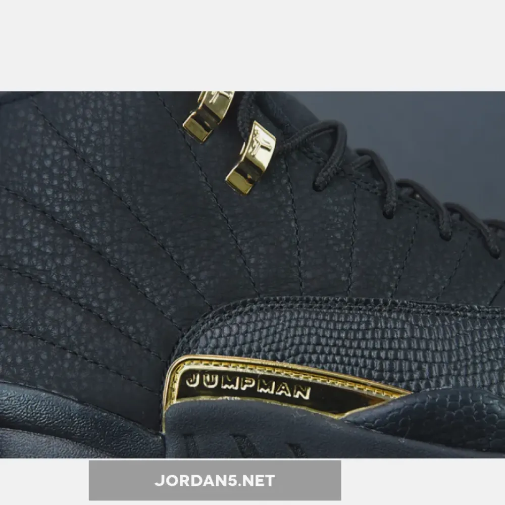 Air Jordan 12 Black Taxi  CT8013-071