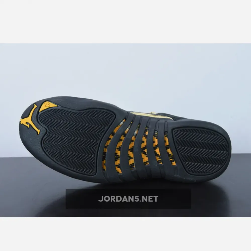 Air Jordan 12 Black Taxi  CT8013-071