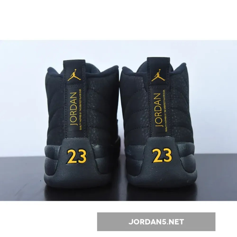 Air Jordan 12 Black Taxi  CT8013-071