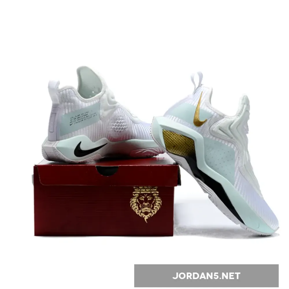 Nike LeBron Soldier 14 Custom White Gold