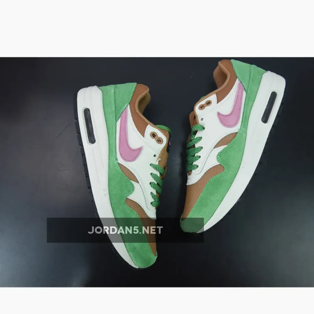 Nike Air Max 1 Treeline/Light Bordeax/Dark Driftwood  DR9773-300