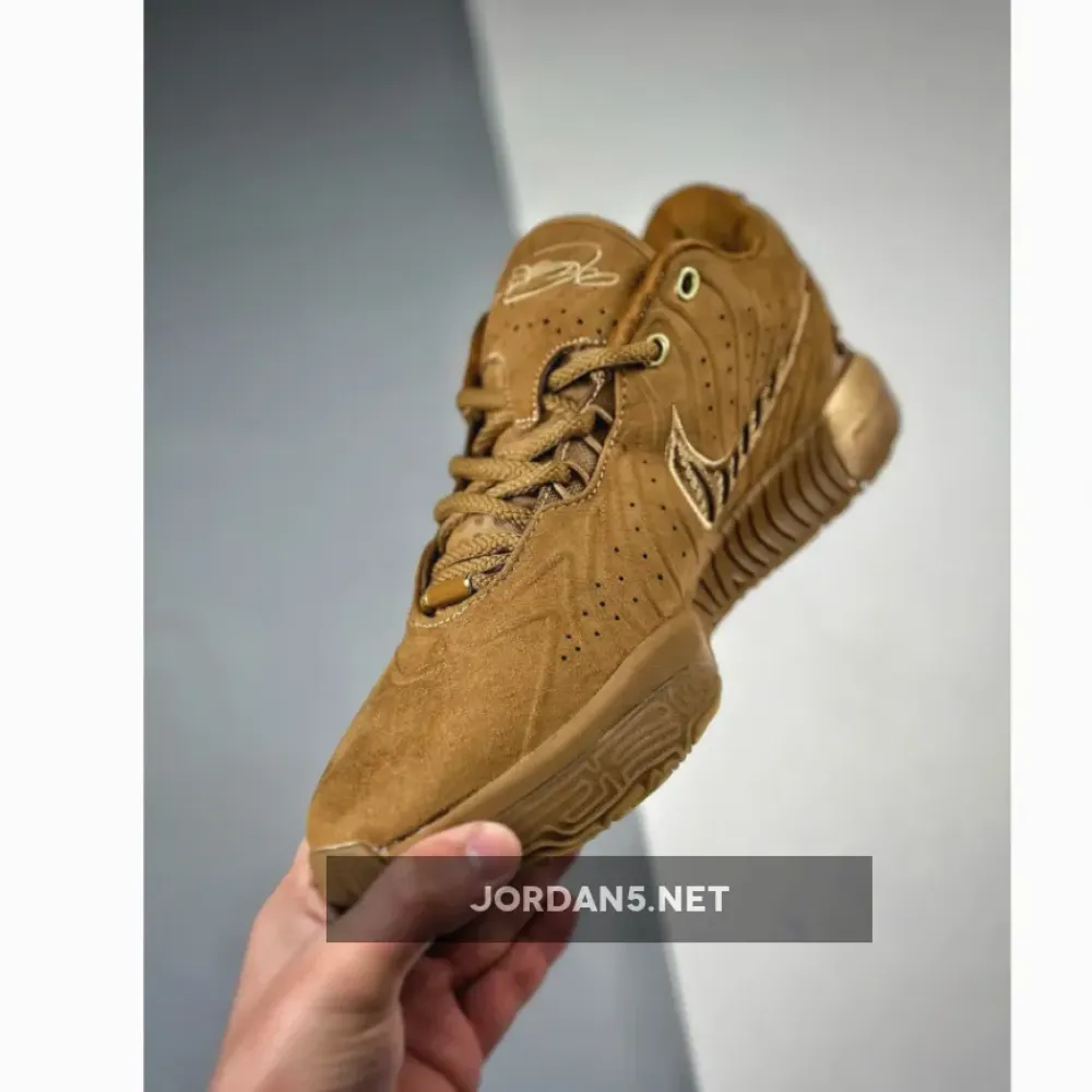 Nike LeBron 21 Brown Gold PE