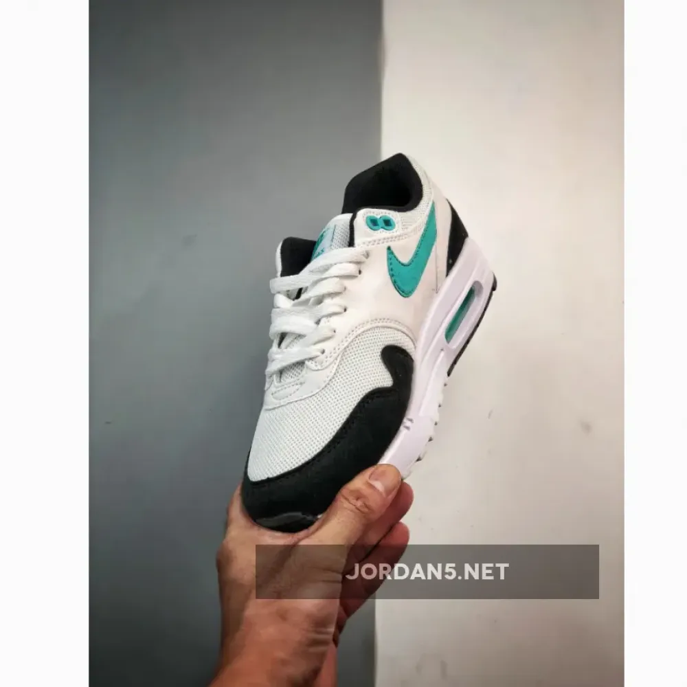 Nike Air Max 1 White/Black-Tropical Twist-Purple  DZ3307-114