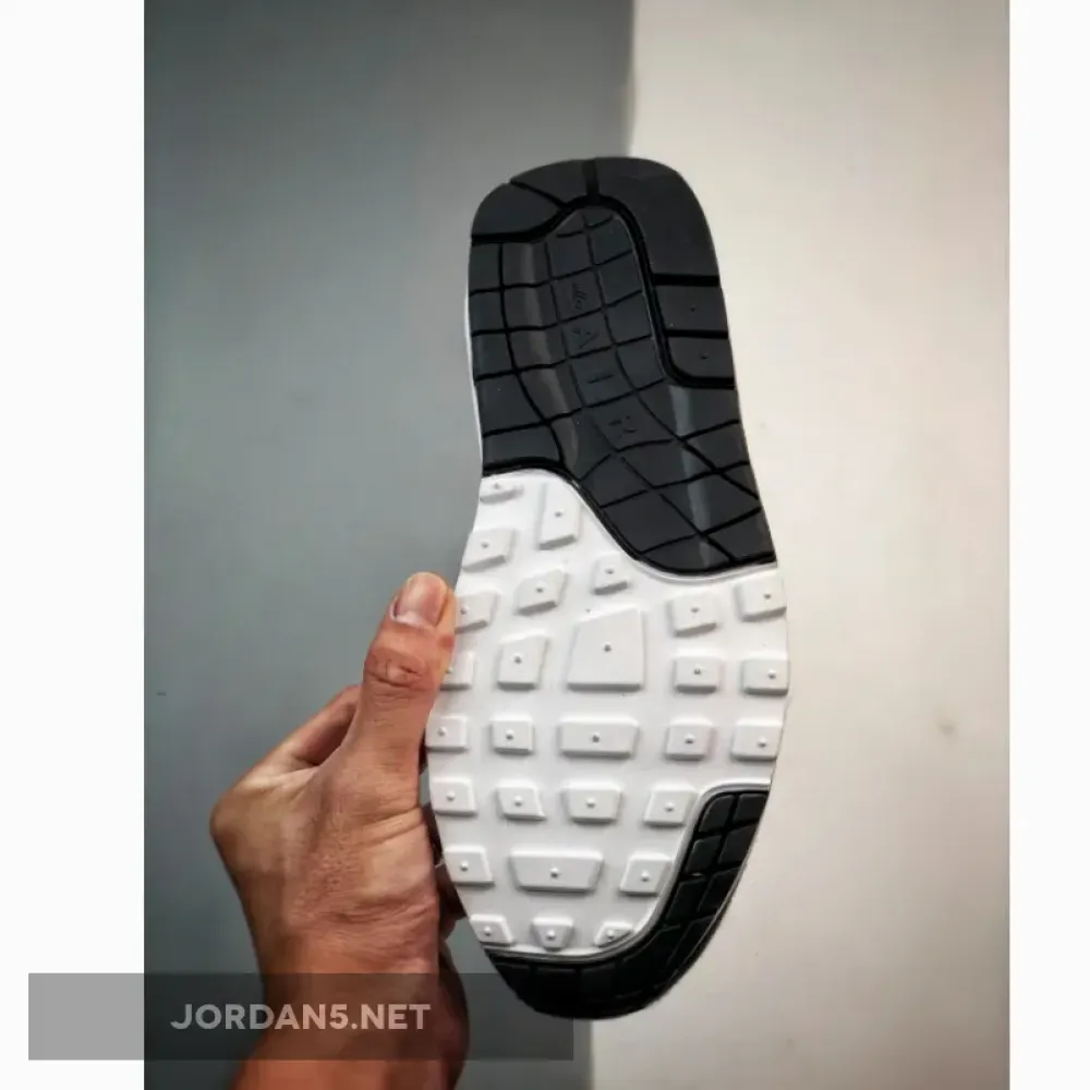 Nike Air Max 1 White/Black-Tropical Twist-Purple  DZ3307-114