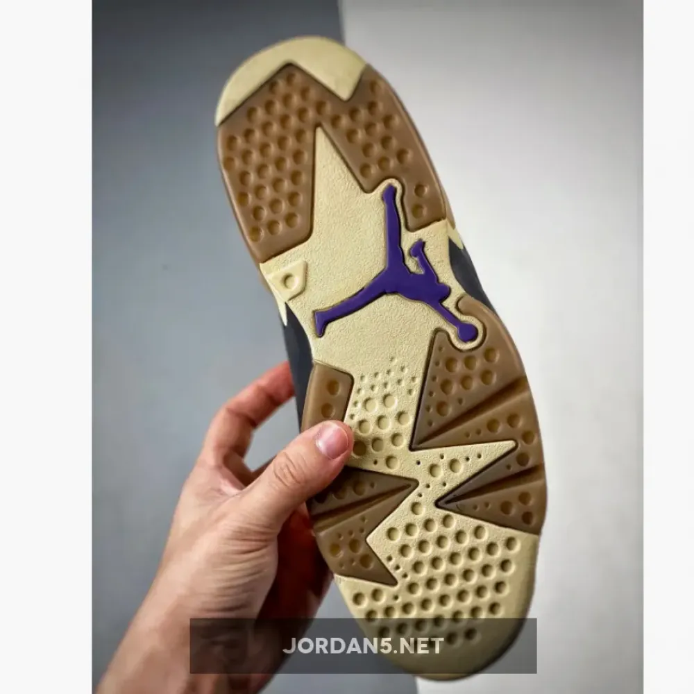 Air Jordan 6 Gore-Tex “Brown Kelp”  FD1643-300