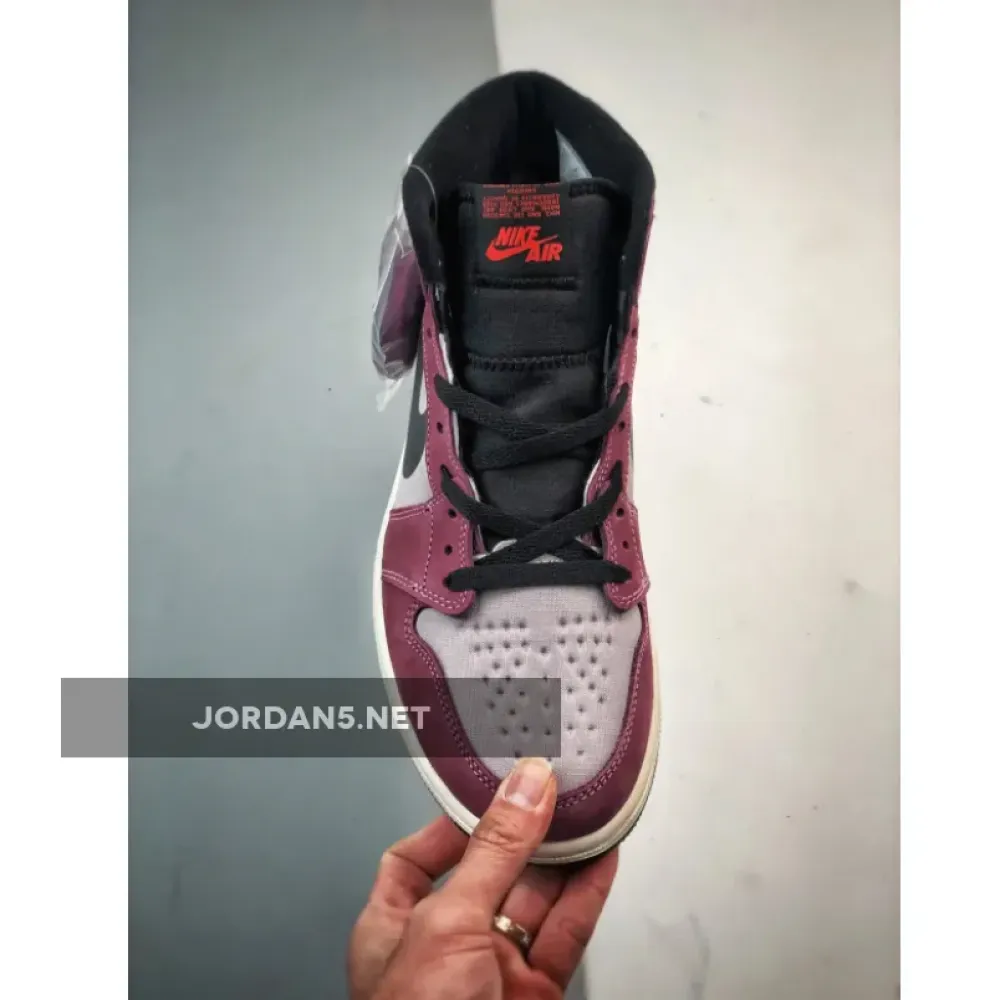 Air Jordan 1 Element Gore-Tex Berry Black  DB2889-500